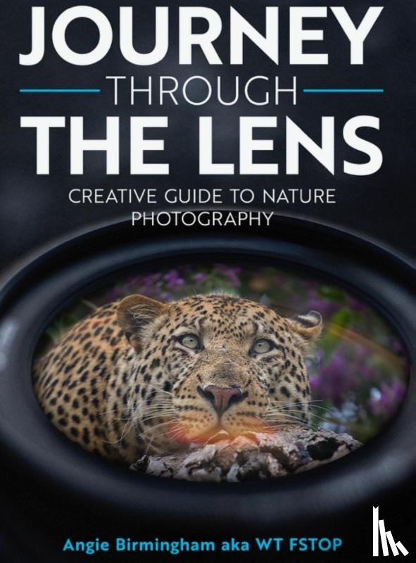 Birmingham, Angie - Journey Through The Lens