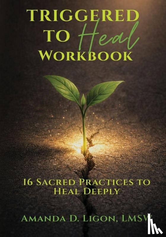Ligon, Amanda D. - Triggered to Heal Workbook