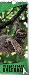 - Verjaardagskalender Wilde dieren - Set van 5