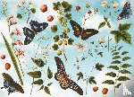  - Puzzel - 1.000 stukjes - Collage - Botanisch - J.J von Plenck - Fitzwilliam Museum