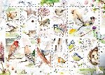  - Puzzel (1.000 stukjes): Birds on stamps, Michelle Dujardin