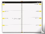  - Amnesty International mini agenda 2026
