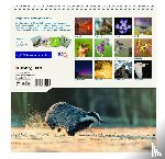  - Natuurmonumenten maandkalender 2026