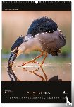  - Birds posterkalender 2026, Vogelbescherming