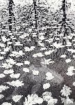  - Puzzel 1.000 st Three Worlds M.C. Escher