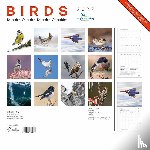  - Birds maandkalender 2027, Vogelbescherming