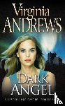 Andrews, Virginia - Dark Angel