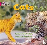 Llewellyn, Claire - Cats