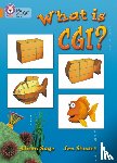 Sage, Alison - What Is CGI?