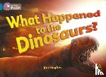 Hughes, Jon - What Happened to the Dinosaurs?