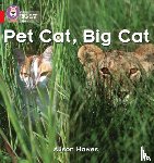 Hawes, Alison - Pet Cat, Big Cat