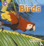 McLeod, Jilly - Birds