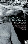 Galchen, Rivka - Atmospheric Disturbances