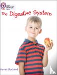  - Digestive System
