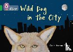  - Wild Dog In The City