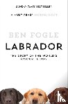 Fogle, Ben - Labrador