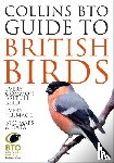 Sterry, Paul, Stancliffe, Paul - Collins BTO Guide to British Birds