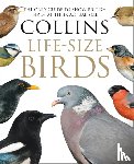 Sterry, Paul, Read, Rob - Collins Life-Size Birds