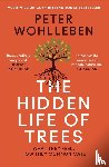 Wohlleben, Peter - The Hidden Life of Trees