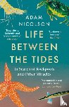 Nicolson, Adam - Life Between the Tides
