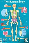Collins Kids - Human Body