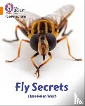 Welsh, Clare Helen - Fly Secrets