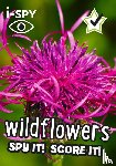i-SPY - i-SPY Wildflowers