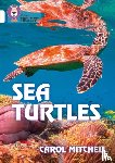 Mitchell, Carol - Sea Turtles