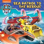 Paw Patrol - PAW Patrol Sea Patrol To The Rescue Picture Book