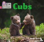 Morton, Sasha - Cubs