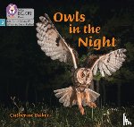 Baker, Catherine - Owls in the Night