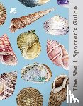 Scales, Helen - The Shell Spotter’s Guide