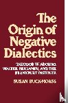 Buck-Morss, Susan - Origin of Negative Dialectics