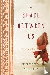 Umrigar, Thrity - The Space Between Us