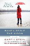 Stein, Garth - Raven Stole the Moon