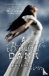 Davies, Jocelyn - A Beautiful Dark