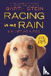 Stein, Garth - Racing in the Rain