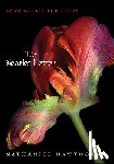 Hawthorne, Nathaniel - The Scarlet Letter