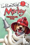 Birch, Caitlin - Marley Firehouse Dog