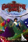 Feldman, Jody - The Gollywhopper Games: The New Champion