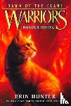 Hunter, Erin - Warriors: Dawn of the Clans #2: Thunder Rising
