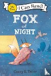 Tabor, Corey R. - Fox at Night