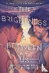 Schrefer, Eliot - The Brightness Between Us