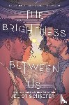 Schrefer, Eliot - The Brightness Between Us