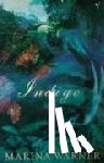 Warner, Marina - Indigo Or Mapping The Waters