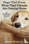 Sheldrake, Rupert - Dogs That Know When Their Owners Are Coming Home