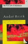 Brink, Andre - The First Life of Adamastor