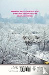 Hallberg, Garth Risk - City on Fire