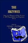 Chanfreau, Guillaume, Tamanoi, Fuyuhiko - Eukaryotic RNases and their Partners in RNA Degradation and Biogenesis - Part A