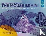 Paxinos, George, Franklin, Keith B.J. - Paxinos and Franklin's the Mouse Brain in Stereotaxic Coordinates